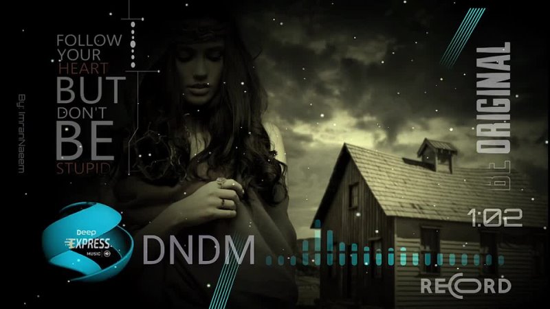DNDM - Desert Rose (feat. David Stan)