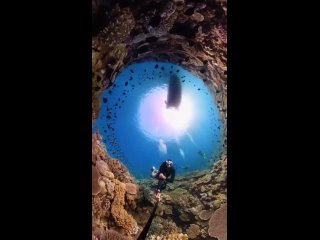🇯🇵 Фееричное погружение в подводный мир Японии на Окинаве