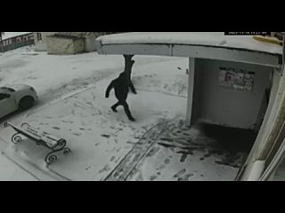 Видео от Криминальная РОССИЯ