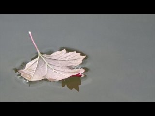 РУСТЭМ СУЛТАНОВ - ОСЕННИЙ ДЖАЗ 👉Smooth-Jazz