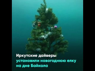 Иркутские дайверы установили новогоднюю елку на дне Байкала