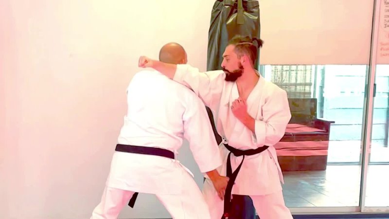 Simultaneous Blocks and Punches in Karate .