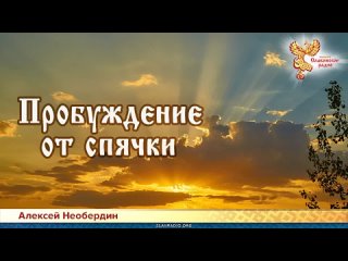 Алексей Необердин - Пробуждение от спячки