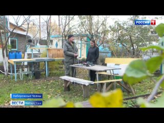 Вести. Татарстан: смена резины, ужасный сосед и агрессивные собаки ( 21:05)