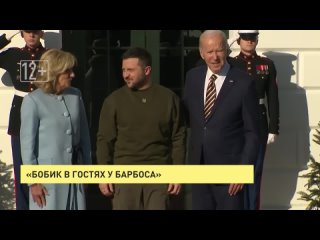 «Бобик в гостях у Барбоса»