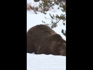 СЕРЬЕЗНЫЙ МАЛЫЙ.mp4