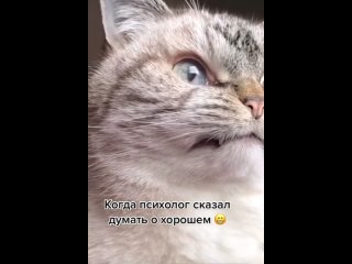 Видео от Ильгизяра Шамсутдинова