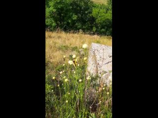 Скоро... публикация первых изделий в серии “Кольца-бабочки“🙌🏻🦋 .mp4