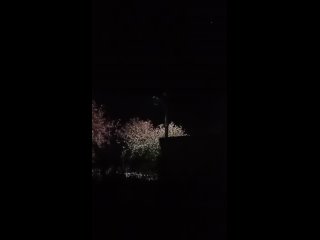 В соцсетях появилось видео ночных обстрелов Каховки.Пока сложно подтвердить насколько кадры правдоподобны.
