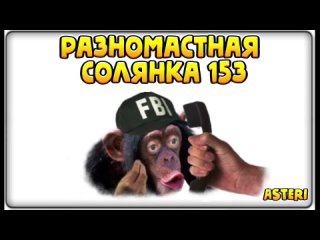 Asteri Pranks - Разномастная Солянка 153