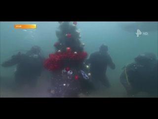 Новогодние ели нарядили в Крыму под водой