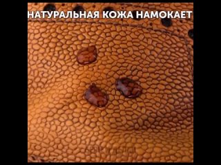 качество