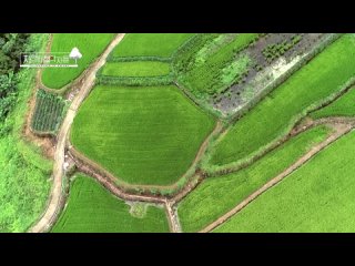 KBS WORLD Рисовые поля Даранг, сделанные слой за слоем путем расчистки склонов горы Джирисан История фермера