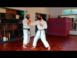 Basic Bunkai for Sanseru (Goju Ryu) .