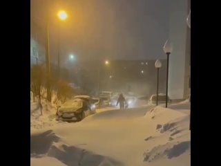 В Приморье третий день бушует снежный циклон. Наибольший удар стихии пришелся на Ольгинский и Кавалеровский районы