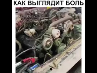 ЯЖЕВОДИТЕЛЬ - Ужас какой 😱