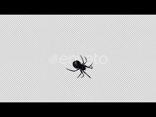 walking_spider_large_black_transparent_and_green_screen