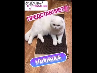 Встречайте новинку❗️🔥