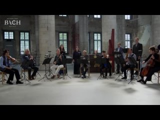 J. S. Bach - Die Kunst der Fuge BWV 1080 - Sato｜Netherlands Bach Society
