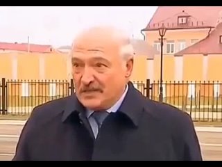 Лукашенко рассказал, как разогнался на тракторе 280 км/ч

Белорусская формула 1 .mp4