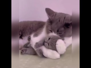 Любящая мама