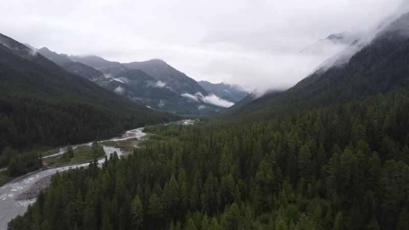 Долина реки Шумак, лес после дождя и туманные горы, Forest after