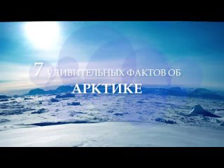 Арктика - интересные факты. Природа Арктики