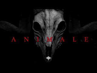 [Aim To Head Official] Dark Techno / EBM / Industrial Bass Mix 'ANIMALE' [Copyright Free]