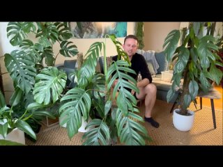 CHOP  EXTEND TUTORIAL - Grow large climbing plants indoors