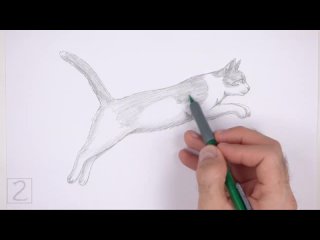 How2DrawAnimals. Как нарисовать прыгающую кошку