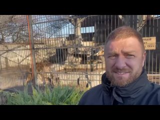 Александр Малькевич посетил уникальный частный зоопарк Home Zoo в поселке Васильевка Запорожской области