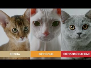 Видео от Shop by green  Vologda