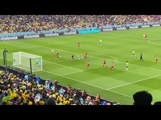 Richarlison bicycle kick goal vs Serbia (720p)(0).mp4