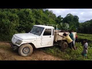 Mahindra bolero pickup bs3 got stuck   Rescued by villagers