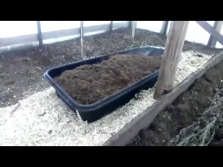 Как получить ранний урожай огурцов благодаря крапиве_ Высаживаем огурцы в апреле #8