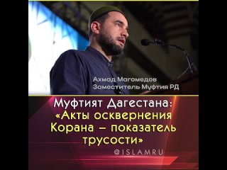 Муфтият Дагестана: «Акты осквернения Корана – показатель трусости»