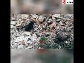 ⚡️Видео⚡️Неонацисты осквернили храм в Соледаре⚡️

Боевики ВСУ оборудовали огневые точки в  церкви и