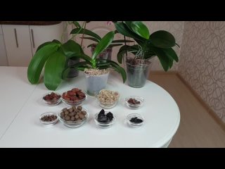 Грунт для орхидей: кора, керамзит, мох и уголь