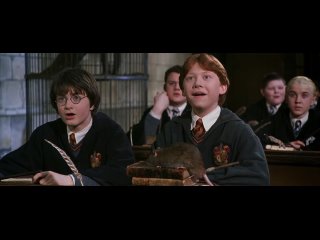 Harry Potter und die Kammer des Schreckens | 2002