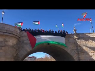 Подняв палестинский флаг, пропалестинские активисты в Мадриде выразили протест против запрета министра национальной безопасности