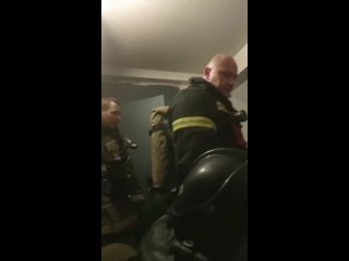Пожарные смогли оживить кошку, которая надышалась угарным газом