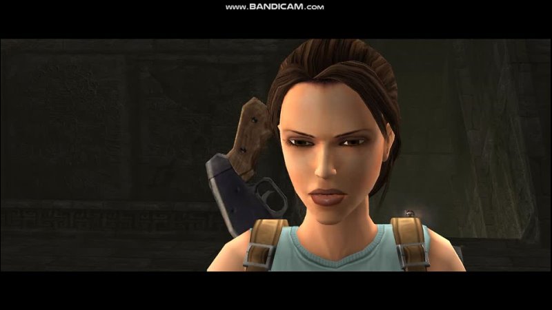 Tomb Raider Anniversary