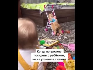 Коту, наверное, это нравится