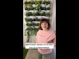 Видео от Питомник Золотой Гектар