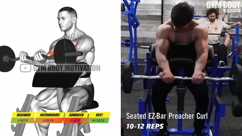 7 Best Exercises to Force Biceps Growth