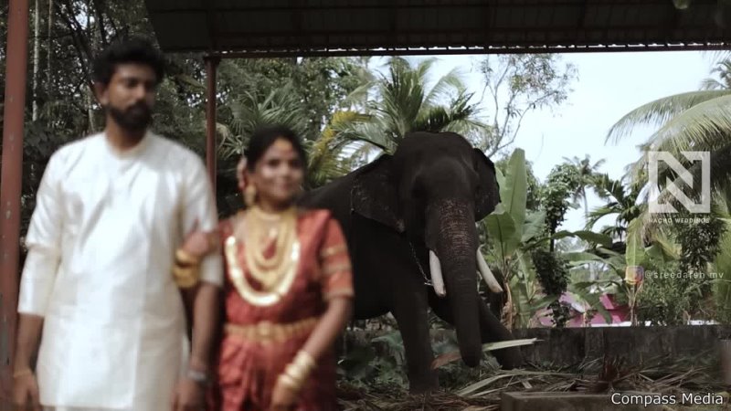 Elephant Ruins Wedding