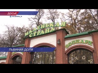 Балахнинский зоопарк оштрафовали после нападения львицы