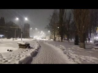 Снимал снежную красоту и ..бнулся в конце видео. (17/12/2022)