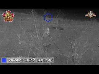 🇷🇺🎯 Ночная боевая работа снайперов спецназа 56-й бригады ДНР
