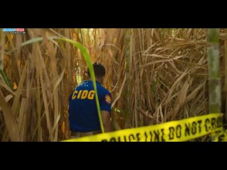 et.S01E07.The.Sugarcane.Field.Murder.1080p.DSNP.WEB-DL